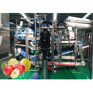 High Efficiency Apple Processing Line Fruit And Vegetable Processing Equipment