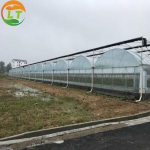 Commercial Greenhouse Hydroponic Planting System for Industrial Needs