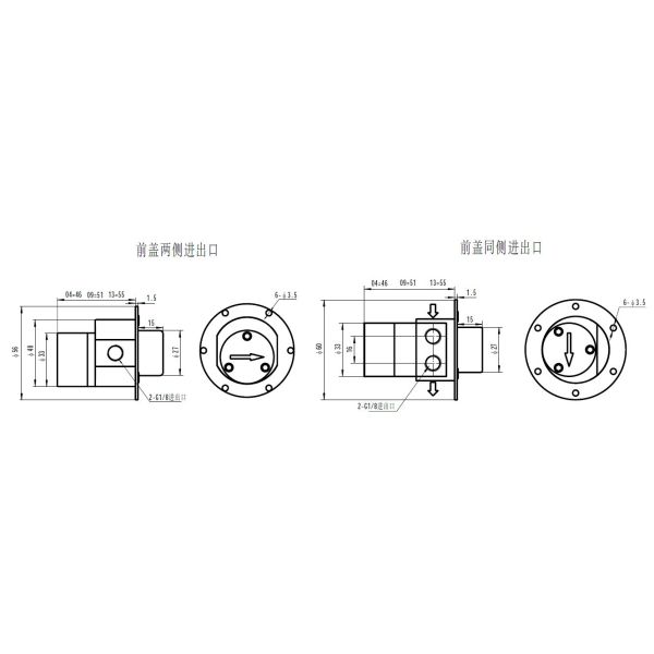 FLOWDRIFT Electric Magnetic Drive Stainless Steel Gear Pump G200 YT/YY series
