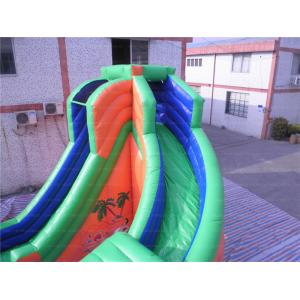 Forest Inflatable Water Slide (CYSL-20)