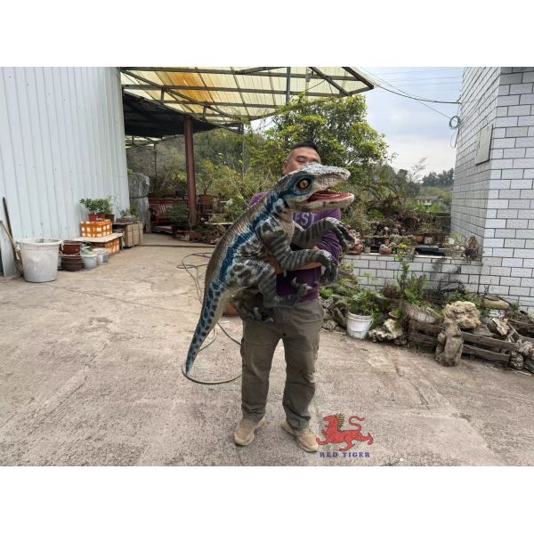 Buy Customized Realistic Baby Animatronics Dinosaur Hand Puppet at wholesale prices