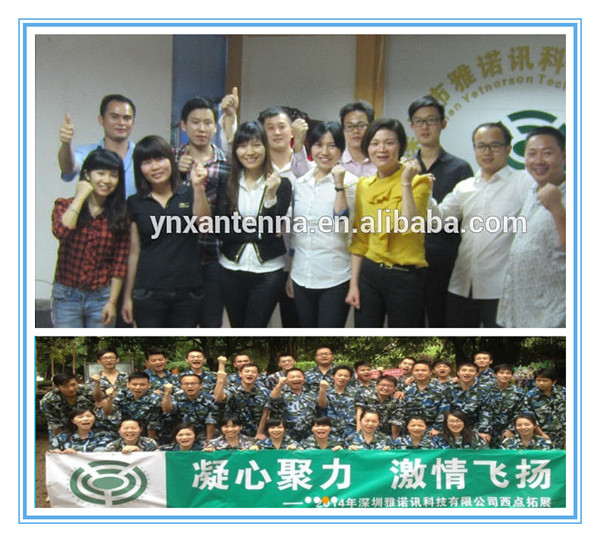 Japan Digital UHF/VHF Car Film Antenna with GT13/GT16 50Ω Input Impendence 280g Weight