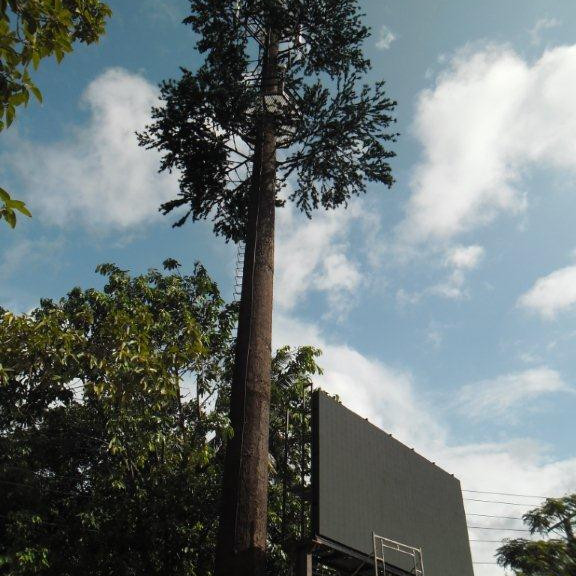 Buy Community Camouflage Cell Tower Pine Tree Communication at wholesale prices