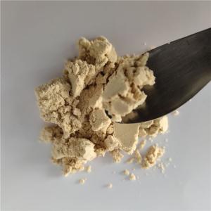 China Best Selling Instant Chicory Root Extract In Bulk on sale