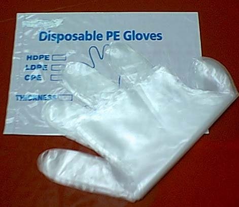 Food Grade Disposable PE Gloves Transparent Embossed / Smooth Surface OEM