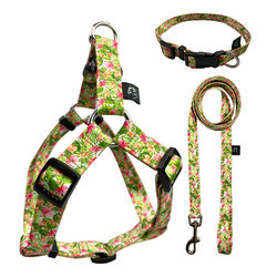 Flower Pattern Dog Harness Set Puppy Cat Sublimation Dog Lead Set