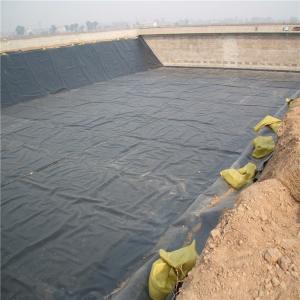 2mm HDPE Geomembrane for Environmental Smooth Plastic Fish Pond Onsite