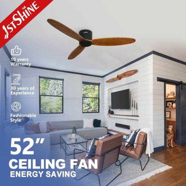 Buy 5-Speed DC Motor Remote Control Ceiling Fan Class A Energy Efficiency Rating for Home at wholesale prices