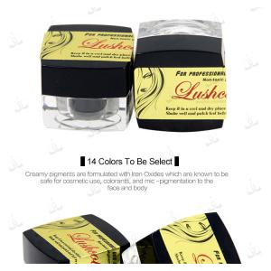 Brown Eyebrow Tattoo Semi Permanent Makeup Pigments For Microblading