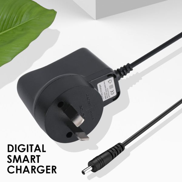 50g AC DC Wall Power Adapter 4.2V 1A Power Supply OEM / ODM