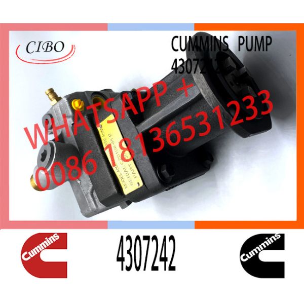 QSK23 PC1250-7 D375A-5 SAA6D170E Diesel Fuel Pump 4087997 4307242 4025674 4076753 4010566 4009881 4903531 4025674 430724