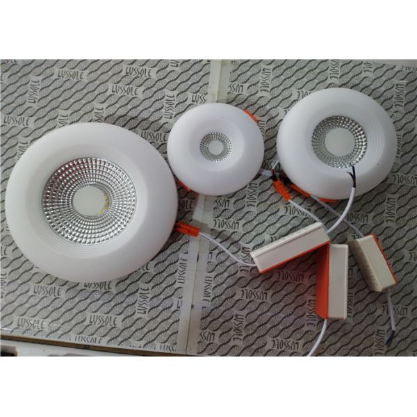 12+12W Two Color COB Round Free Cut Edgeless LED Panel Light Lobby Lighting