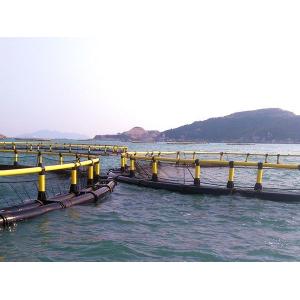 Design PE Bracket HDPE Fish Cage Trap Design Supply for Nangfengwang and