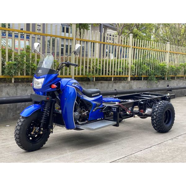 DAYANG 2021 70km/h Rase 300cc Petrol Three Wheels Cargo Tricycle with 5.5-12 Big Sand Tire