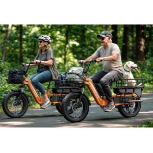 20” Fat Tire Long Tail Cargo E-bike