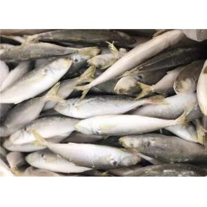 120g Whole Round High Protein Frozen Pacific Mackerel
