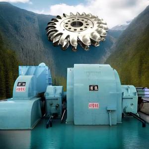 Efficiency Pelton Hydraulic Turbine Generator 6-10kV Cast Iron/Stainless Steel