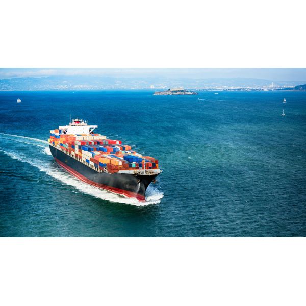 Buy MATSON COSCO Customs Brokerage & Clearance Professional Customs Clearance Agent at wholesale prices