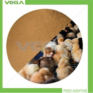 China Bacitracin Zinc 10%/15% Made in China on sale