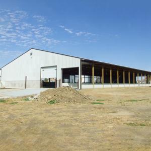 Prefabricated Steel Structure Dairy Cow Shed , Modern Metal Agricultural Sheds