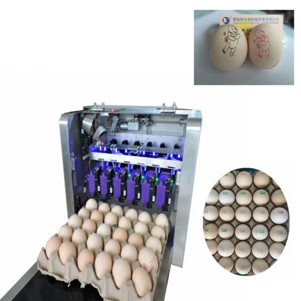 Printer Ink Cartridge / Eco Solvent Egg Label Printer / Continuous Printing Tray Egg Machine