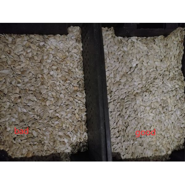 Optical Pumpkin Seed Color Sorter With WiFi Remote Control