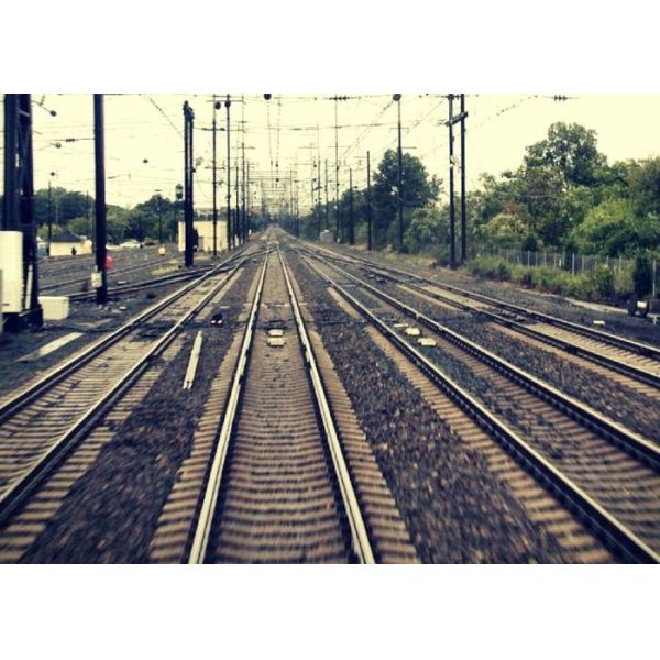 Economic International Rail Freight Quick Shipping Short Transmit Time