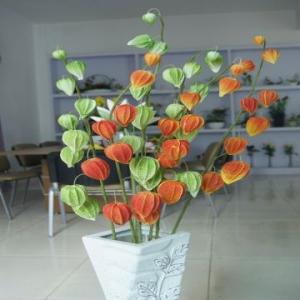 Real Touch PU Cape Gooseberry