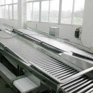 Automatic Mango Washing Waxing Grading Machine For Fruit Processing