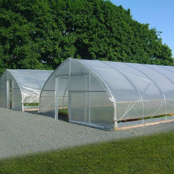 Plants Growing System Greenhouse Steel Pipe Structure Hoop Tunnel Plastic Greenhouse
