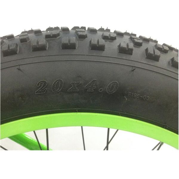 OEM 21 Speed 20 Inch Fat Tire Electric Bike