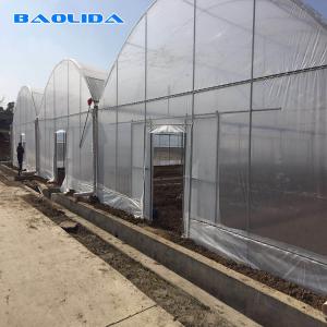 Vegetables Seeds Plastic Film Greenhouse Ventilated Multi Span Sheet Covering