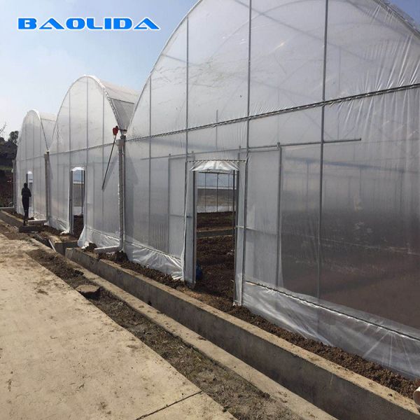 PE Film Covering Heavy Duty Plastic Greenhouse / Prefabricated Poly Tech