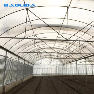 Vegetables Seeds Plastic Film Greenhouse Ventilated Multi Span Sheet Covering