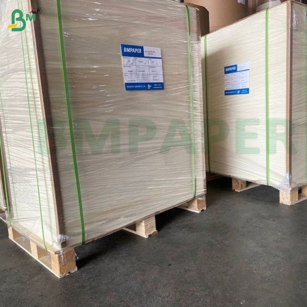 One Side Coated White Paper Food Cone Paper For Ice Cream 80gsm