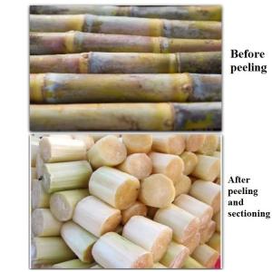 Full Automatically Fruit Vegetable Processing Machine 1.5KW Sugarcane Peeler