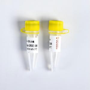 Quality Klenow Fragment 3-5 exo- #K010 for sale