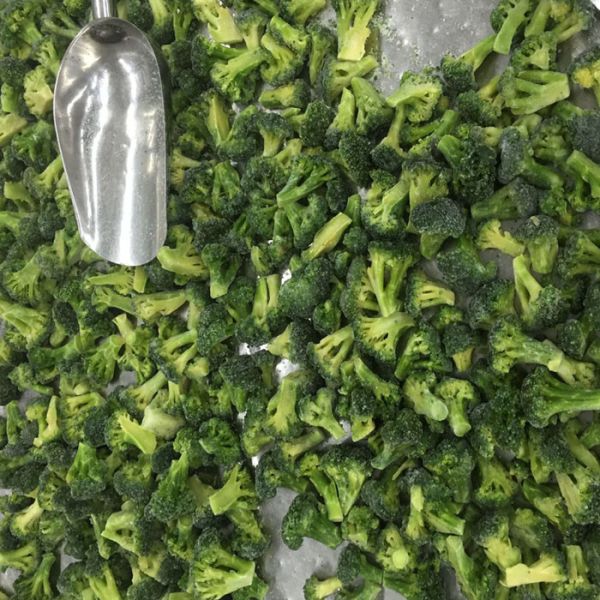 Buy Premium IQF Frozen Vegetables / Green Broccoli Safe And Healthy Food at wholesale prices