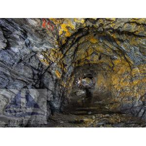 Revolutionize Mineral Processing Plant Advanced Capabilties