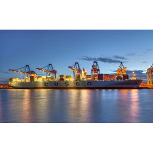Quality Sea Freight to Rotterdam,Netherlands for sale