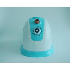 Quality Steam Iron Brush Type Portable Travel Garment Steamer With Lake Blue Color for sale