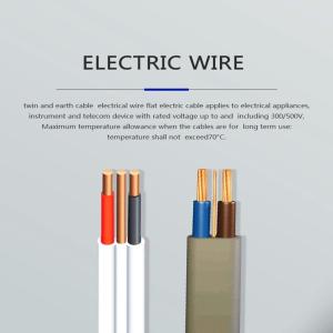 450V 750V Electric Wires With Al Copper Conductor