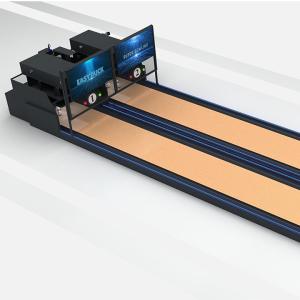 Manufacturers Duckpin Bowling Alley Pinsetter Duckpin Mini Bowling Lane Exercise