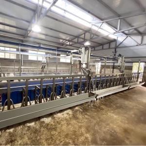 Sheep Parallel Fast Mode Milking Parlor Equipment Easy To Operate