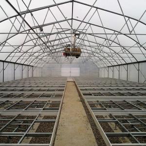 Clear Plastic Film Polyethylene Steel Frame Greenhouse With Irrgation System