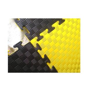 Martial Arts Karate Judo EVA Foam Mats Tatami Taekwondo Mats