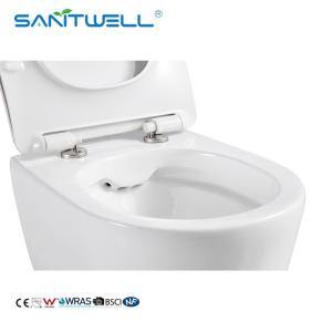 Hot Selling SWA625 Luxury Sanitary Ware Product Washdown Rimless Flushing Wall
