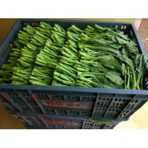 High quality endive Fast Precooling Vacuum Coolers , Vacuum Cooling Machine