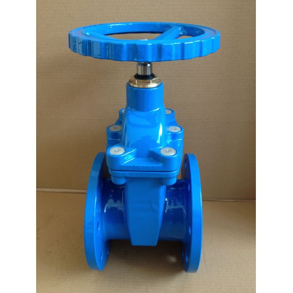 Buy (DIN) Cast Iron Resilient Gate Valve nor-rising stem at wholesale prices