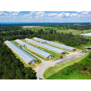 Prefab Steel Structure Chicken House Broiler Farm Steel Frame Building